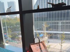 -凤凰湘语(浦东旗舰店)