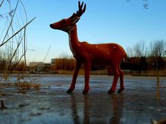 -中关村生命科学园