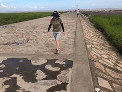 -南汇嘴观海公园