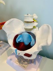 -芊尔美依产后修复中心(朝阳大悦城店)