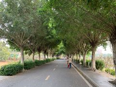 -风云岭森林公园