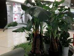 -红星美凯龙(东北全球家居1号店)