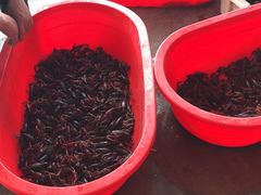 -东方鼎信农副产品交易中心