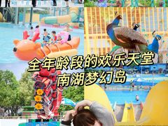 -南湖梦幻岛