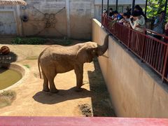 -西霞口神雕山野生动物世界