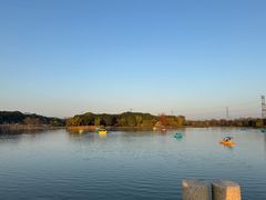 -昆山城市生态森林公园