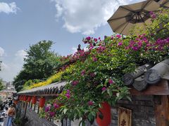 -恩阳古镇