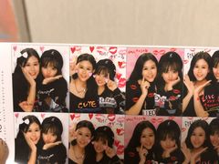 -PAWTOY爪e玩偶店(天兴罗斯福店)