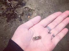 -北海金海湾红树林生态旅游区