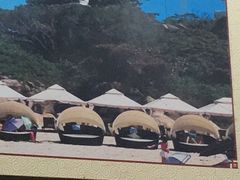 -春园海鲜广场D区6号(钟姐海鲜加工店)
