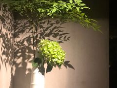 -穹六人间 people 6(岳阳路店)