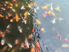 -泰安地下龙宫景区