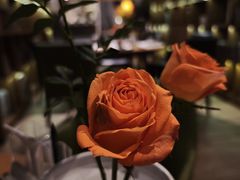 -四季餐厅·新津菜(环湖中路店)