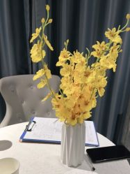 -姿丽堂美容SPA生活馆