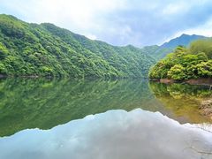-黄山太平湖风景区