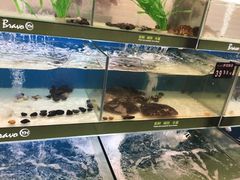 -永辉超市(泰州万达广场店)