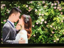 点击看大图 -太郎花子婚纱摄影艺术中心