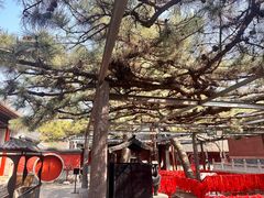 -红螺寺