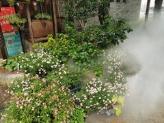 -吴越荣记苏州菜·松鼠桂鱼100%活鱼现做(斜塘老街店)