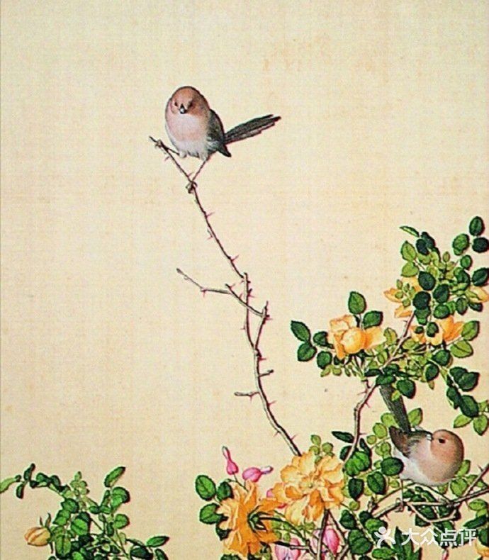 栩栩如生的花鸟图，简直是太漂亮了❗❗