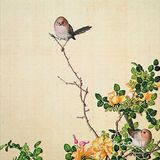 栩栩如生的花鸟图，简直是太漂亮了❗❗