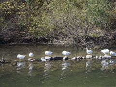 -丹东天桥沟景区