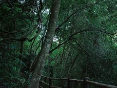-马峦山郊野公园