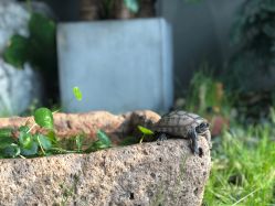 -塞巴斯汀SEBASTIAN专业美发店