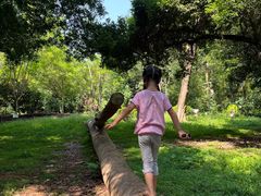 -南宁良凤江国家森林公园