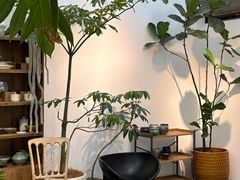 -自由生长植物工作室(深港花卉中心店)