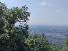 -杭州半山国家森林公园