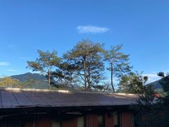 -广州市流溪河国家森林公园