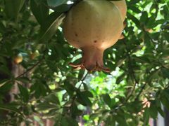 -boundaries籬苑(瑞光创意工厂-贰号院店)