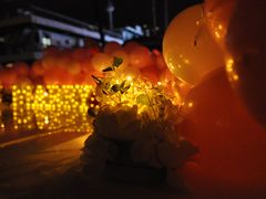 -InParty·游艇求婚策划生日派对布置(世纪大道店)