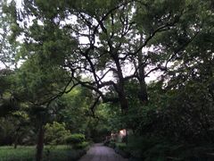 -法云古村