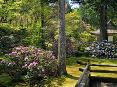 -三千院