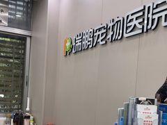-瑞鹏宠物医院华南总院·夜诊·心脏科·骨科