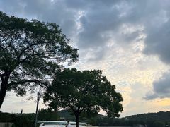 -上海月湖雕塑公园
