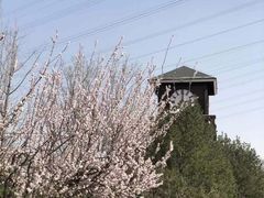 -永定河休闲森林公园