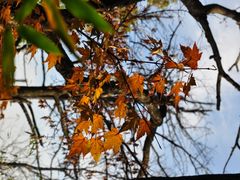 -洛阳白云山景区