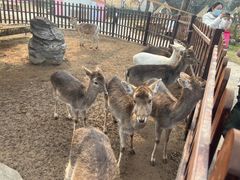 -西安秦岭野生动物园