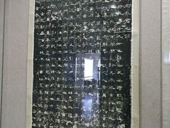 -海口市博物馆