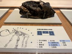 -舟山博物馆