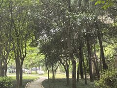 -木塔寺遗址生态公园