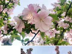 -青州市云门山风景区