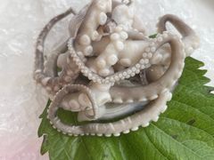 白灼章鱼-临家闽南菜(环岛路店)