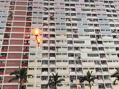 -彩虹村