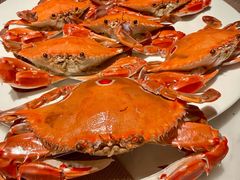 -深圳宝安福朋喜来登酒店 · 玩啤食社