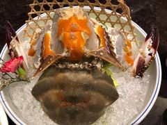 -高佳庄·海鲜酒楼(东港店)