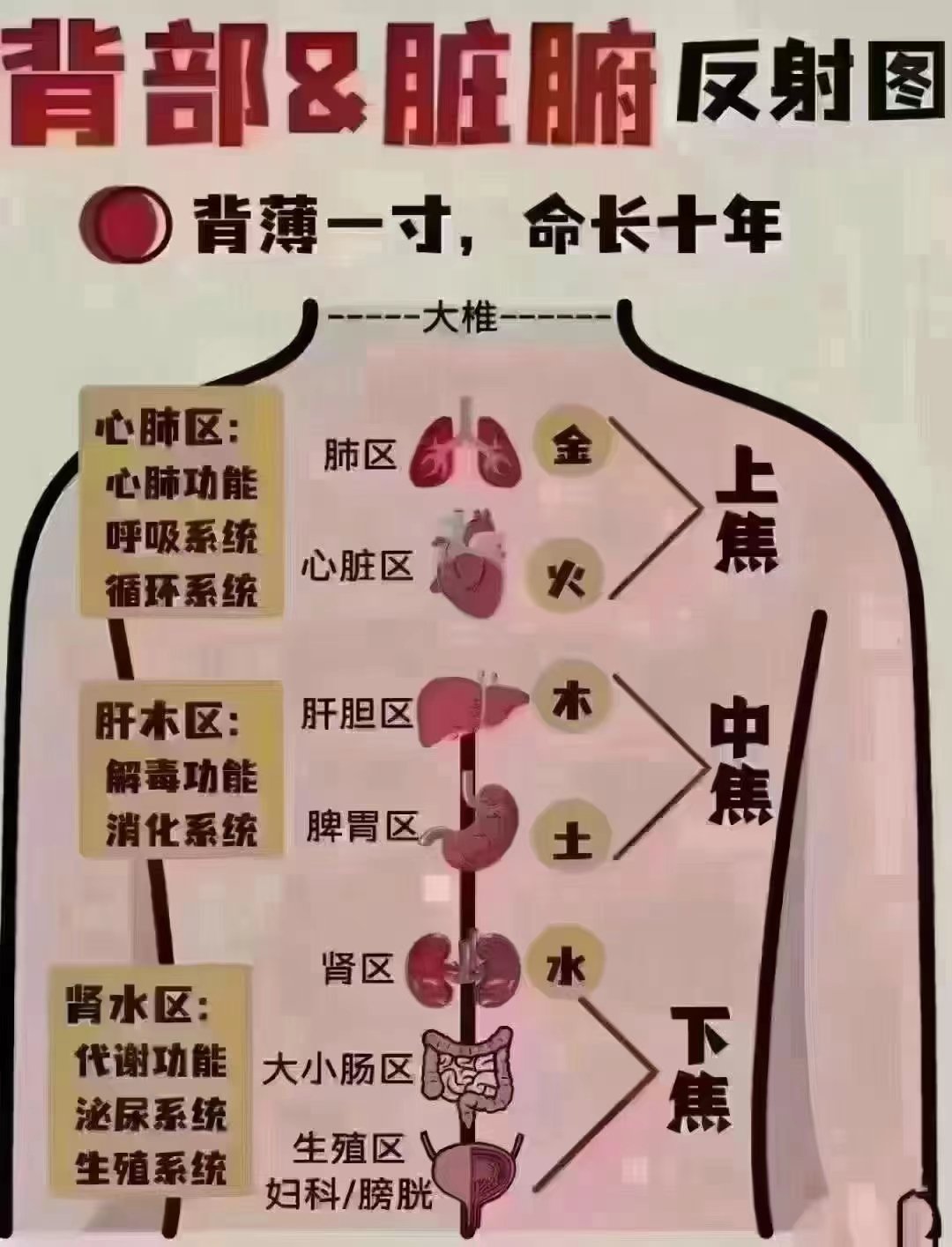 想瘦的快